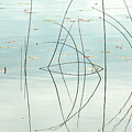Reflexion d'eau